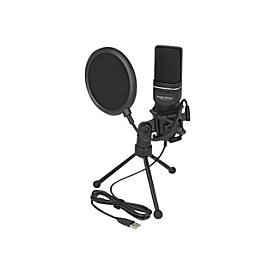 Delock USB Condenser Microphone Set for Podcasting