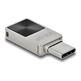 Delock USB-Flash-Laufwerk - 256 GB - USB-C