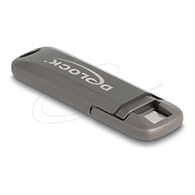 Delock USB-Flash-Laufwerk - 256 GB - USB-C