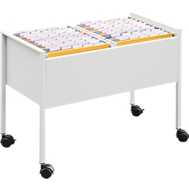 Desserte mobile pour dossiers suspendus Mappenboy DURABLE, double rangée, argent, sans dossiers suspendus