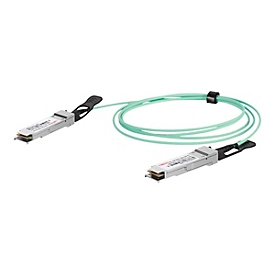 DIGITUS 100GBase Direktanschlusskabel - QSFP28 zu QSFP28 - 10 m - Glasfaser - Duplex - SFF-8431/SFF-8432 - Active Optical Cable (AOC)