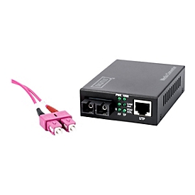DIGITUS DN-82020-1 - Medienkonverter - 100Mb LAN