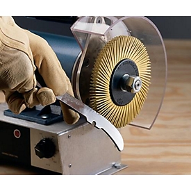 Disque à brosses radiales BB-ZB type A Ø150xB12x25,4mm 36