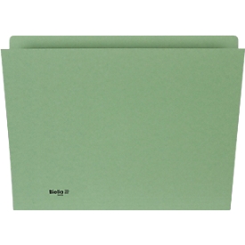 Dossier vertical Biella, pour DIN A4, L 330 x l 265 x H 1 mm, carton, vert
