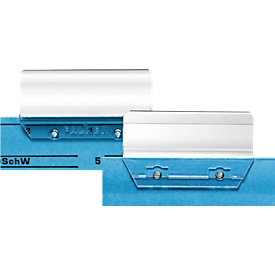 Einsteckschilder für Vollsichtreiter Alpha, B 60 x H 21 mm, 250 Stück 