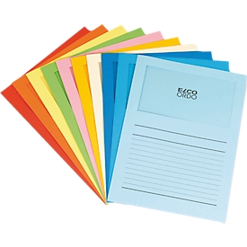 ELCO ORDO MAPPE 100ST FARBSORTIERT 09