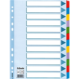 Esselte Karton-Register Mylar, 12 Taben blanko