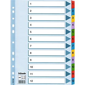 Esselte Karton-Register Mylar,  Zahlen 1-12