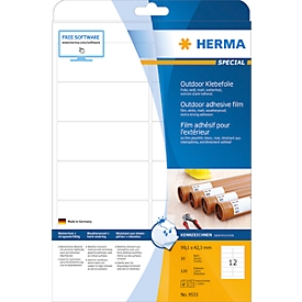 Étiquettes multifonctionnelles en polyester n° 9533 Herma, résistant aux intempéries, 120 étiquettes, 10 p.