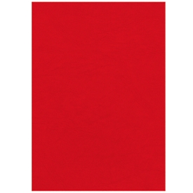 Feuille de couverture Fellowes, format A4, pour machines à relier, en papier aspect cuir, rouge, 100 pièces