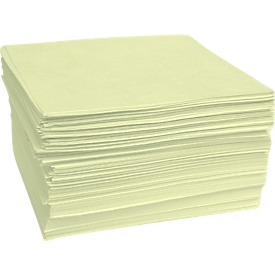 Feuilles absorbantes BASIC heavy, absorbe particulièrement les produits chimiques, 400 x 500 mm