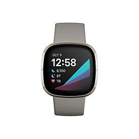 Fitbit Sense - Silver Edelstahl - intelligente Uhr mit Band - Silikon - Sage Gray - Bandgröße: S/L