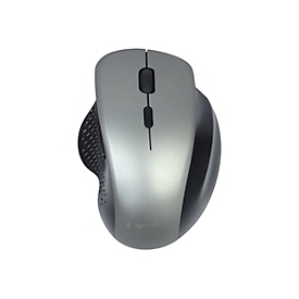 Gembird MUSW-6B-02-BG - Maus - ergonomisch - optisch - 6 Tasten - kabellos - 2.4 GHz - kabelloser Empfänger (USB)