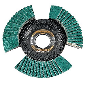 Getande borgring LSZ F VISION D.125mm K.60 con.INOX ZK RHODIUS, 10 stuks