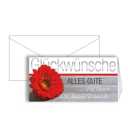 Grusskarte „Glückwünsche“, Format DIN lang, 206 x 103 mm, mit Kuverts & doppelten Einlagen, grau, Karton, 10 Stück