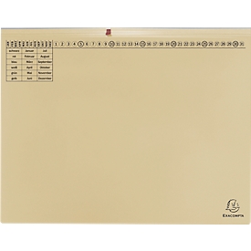 Hängehefter Exacompta, für 2 x Rechtsheftung, gefalzt, Dehnfalte, Organisationsdruck, Recycling-Karton, elfenbein, 25 Stück