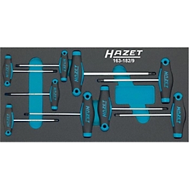 HAZET gereedschapsmodule 163-182/9, 9-delig, schroevendraaierset sterprofiel T6-T30, B 342 x D 172 mm
