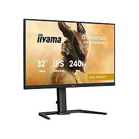 Iiyama GB3290QSU-B1 32 Gold Phoenix QHD - Flachbildschirm (TFT/LCD) - 80 cm