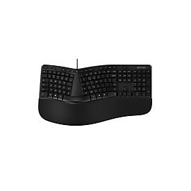 Incase Ergonomic Keyboard DE Layout - Tastatur - QWERTZ