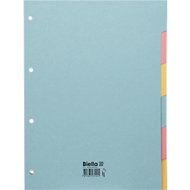 Index Biella, for DIN A4, 6 parts, blank, L 310 x W 235 x H 2 mm, cardboard, colored