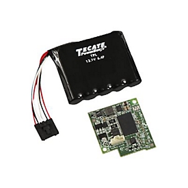 Intel RAID Maintenance Free Backup Unit - RAID-Controller-Cache-Daten-Schutzmodul