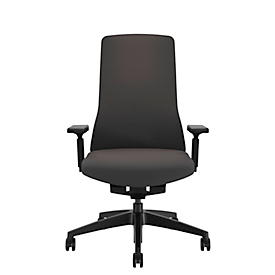 Interstuhl chaise de bureau PURE PU31S, avec accoudoirs, technologie Smart Spring, assise plate, dossier en maille respirante, noir