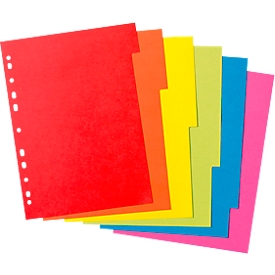 Kartonnen index Herlitz, A4, blanco tabbladen, Europerforatie, gerecycleerd karton, 1 set van 6 stuks met 6 kleuren