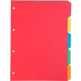 Kartonnen index Schäfer Shop Select, set van 1, 4 perforaties, 160 g/m² gerecycled karton, 5 stuks