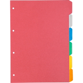 Kartonnen index Schäfer Shop Select, set van 1, 4 perforaties, 160 g/m² gerecycled karton, 6 stuks