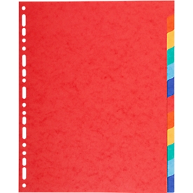 Kartonregister Biella Top Color, für DIN A4, 12tlg, L 297 x B 220 x H 5 mm, Recyclingkarton, farbsortiert