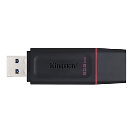 Kingston DataTraveler Exodia - USB-Flash-Laufwerk - 256 GB