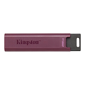 Kingston DataTraveler Max - USB-Flash-Laufwerk - 1 TB - USB 3.2 Gen 2
