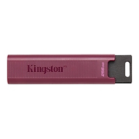 Kingston DataTraveler Max - USB-Flash-Laufwerk - 256 GB - USB 3.2 Gen 2