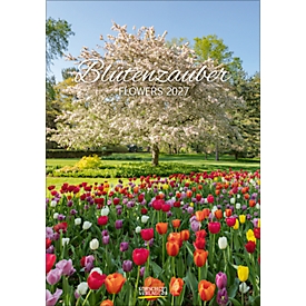 Korsch Bildkalender Blütenzauber 2027, Fotos von Blumen und Pflanzen, L 235 x B 335 x H 2 mm, farbig