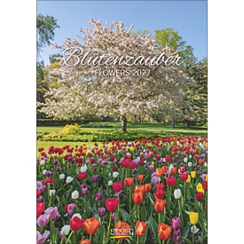 Korsch Bildkalender Blütenzauber 2027, Fotos von Blumen und Pflanzen, L 235 x B 335 x H 2 mm, farbig