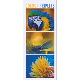 Korsch Calendrier illustré Colour Triplets 2027, format vertical, photos avec détails, L 285 x P 5 x H 690 mm, en couleur