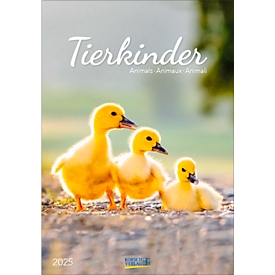 Korsch Calendrier illustré "Enfants animaux 2025", L 235 x H 335 mm