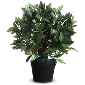 Kunstplanten PAPERFLOW, van PE, groen, incl. kunststof pot, laurierboom, 500 mm