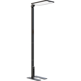 Lampadaire LED STARIS, 80 W, 10070 lm, 3000 - 6000 K, intensité lumineuse variable, éclairage direct/indirect, pour postes de travail informatisés, capteur de lumière du jour, 3 prises de courant, noir