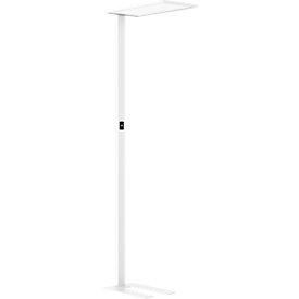 LED floor lamp Dotlux OFFICEbutler, power 55 W, 5500 lm, 4000 K, dimmable, direct/indirect light, signal white