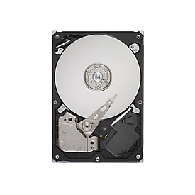 Lenovo Festplatte - verschlüsselt - 8 TB - Hot-Swap - 3.5" (8.9 cm)
