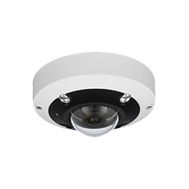 LevelOne FCS-3095 - Panoramakamera - Kuppel - wetterfest - Farbe (Tag&Nacht) - 12 MP
