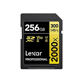 Lexar LSD2000256G-BNNNG - 256 Go - SDXC - Classe 10 - 300 Mo/s - 260 Mo/s - Class 3 (U3)