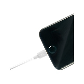 Lindy 31326 - 1 m - USB A - Mâle - Mâle - Blanc - Droit