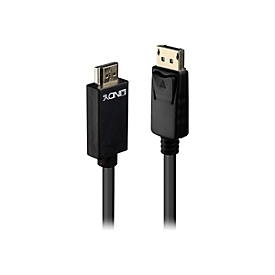 Lindy Adapterkabel - DisplayPort männlich zu