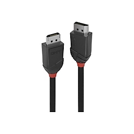 Lindy Câble DisplayPort 1.2 - Black Line - 2m - 2 m - DisplayPort - DisplayPort - Mâle - Mâle - 4096 x 2160 pixels