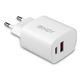 Lindy Chargeur USB Type A & C 20W - Intérieure - Secteur - 12 V - 3 A - Blanc