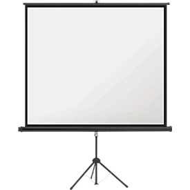 Magnetoplan mobile Stativ-Leinwand, B 1760 x H 1320 mm, für den Innenbereich, 4:3, Bildqualität 4K HD, Polyester/Stahl, weiß