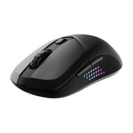 MSI VERSA 300 ELITE - Maus - ergonomisch - optisch - 6 Tasten - kabellos, kabelgebunden