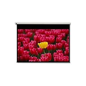 Optoma Panoview DE-9120EGA - Leinwand - motorisiert - 305 cm (120") - 16:9 - Matte White
